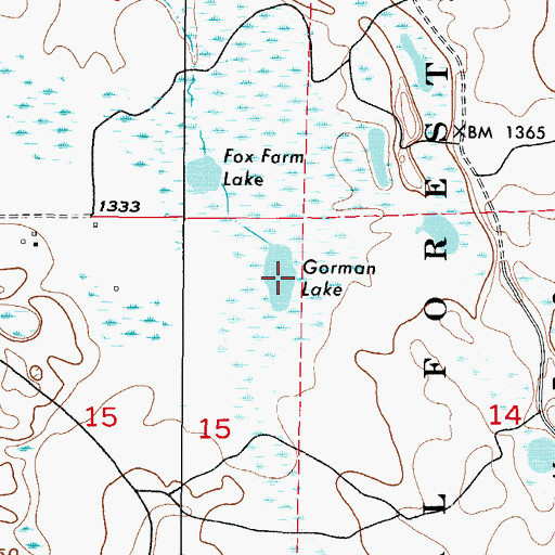 Topographic Map of Gorman Lake, MN