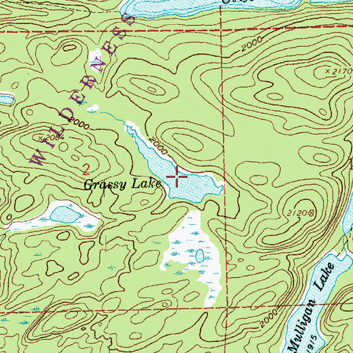 Topographic Map of Grassy Lake, MN