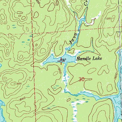 Topographic Map of Handle Lake, MN