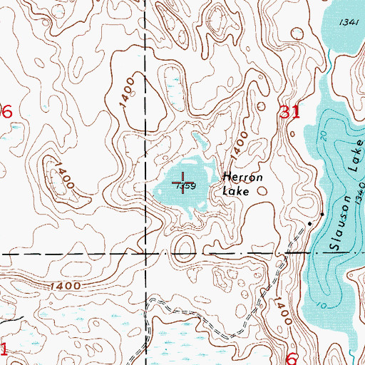 Topographic Map of Herron Lake, MN