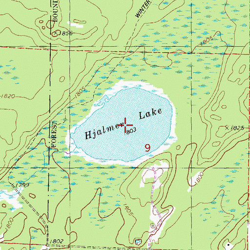 Topographic Map of Hjalmer Lake, MN