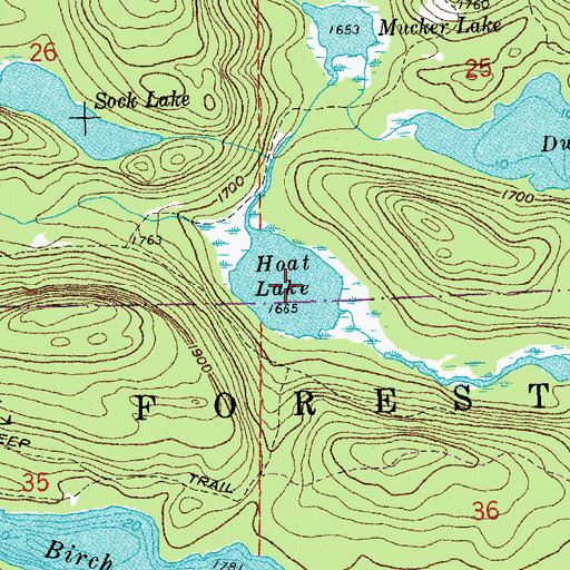 Topographic Map of Hoat Lake, MN