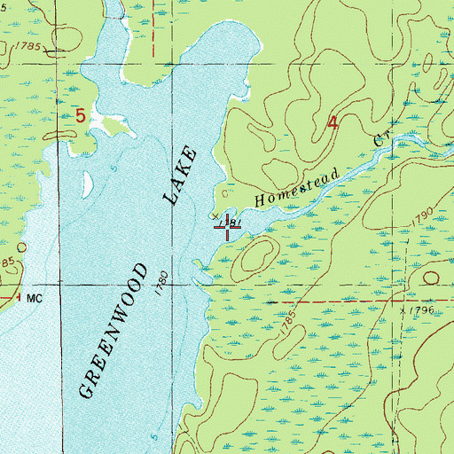 Topographic Map of Homestead Creek, MN