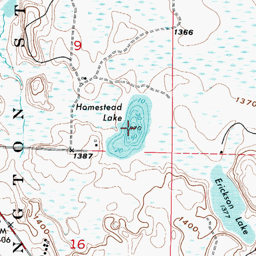 Topographic Map of Homestead Lake, MN