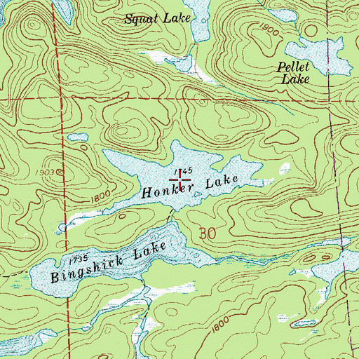 Topographic Map of Honker Lake, MN