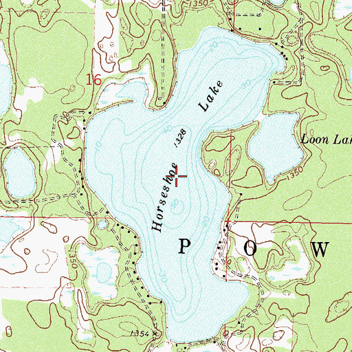 Topographic Map of Horseshoe Lake, MN