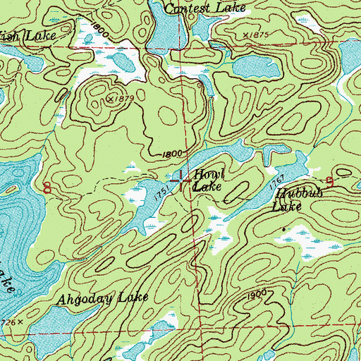 Topographic Map of Howl Lake, MN