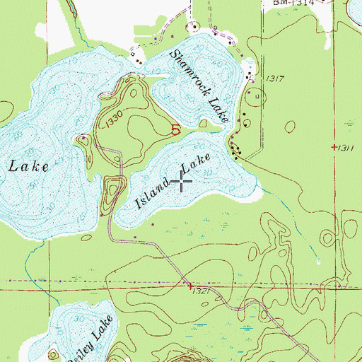 Topographic Map of Island Lake, MN