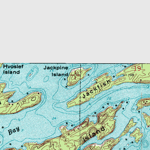 Topographic Map of Jackpine Island, MN