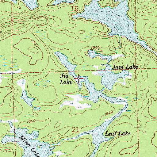 Topographic Map of Jig Lake, MN