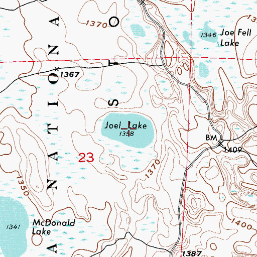 Topographic Map of Joel Lake, MN