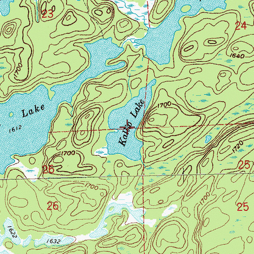 Topographic Map of Kallio Lake, MN