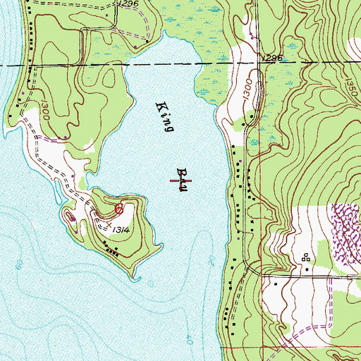 Topographic Map of King Bay, MN