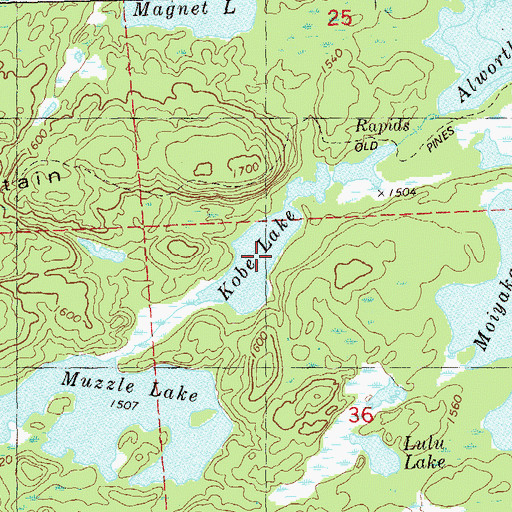 Topographic Map of Kobe Lake, MN