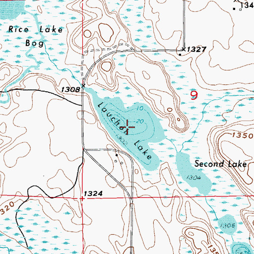 Topographic Map of Lauchoh Lake, MN