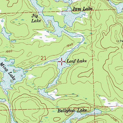 Topographic Map of Leaf Lake, MN