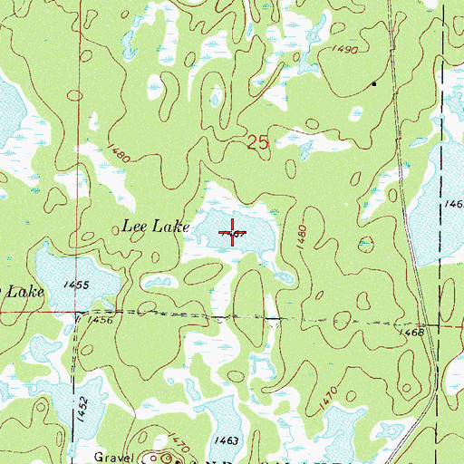 Topographic Map of Lee Lake, MN