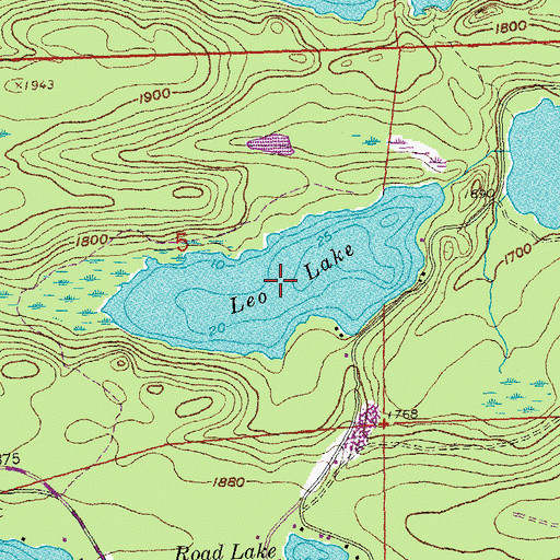 Topographic Map of Leo Lake, MN
