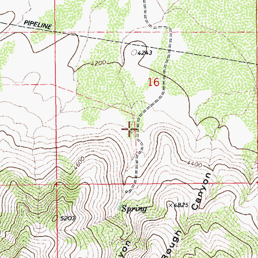 Topographic Map of Angle Canyon, AZ