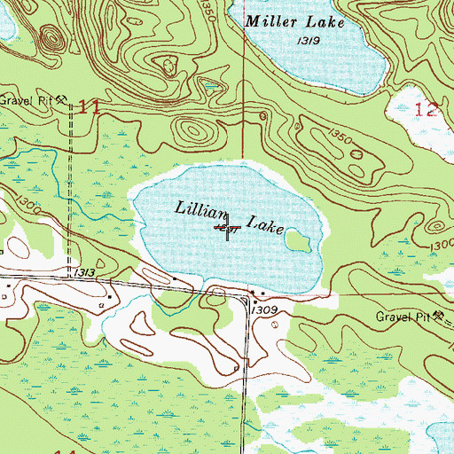 Topographic Map of Lillian Lake, MN