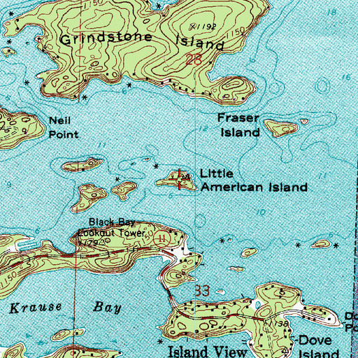 Topographic Map of Little American Island, MN