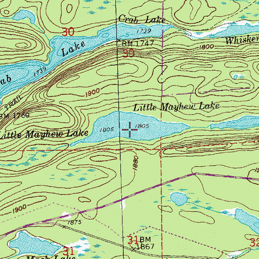 Topographic Map of Little Mayhew Lake, MN