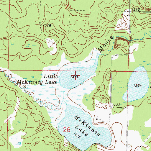 Topographic Map of Little McKinney Lake, MN