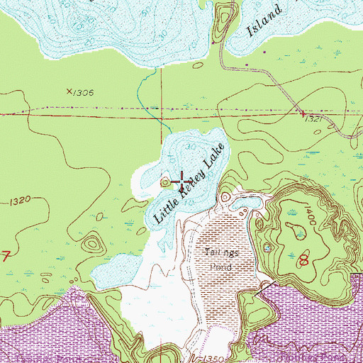 Topographic Map of Little Reiley Lake, MN