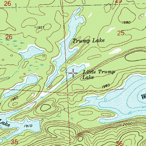 Topographic Map of Little Trump Lake, MN
