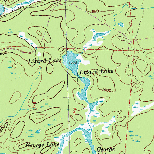 Topographic Map of Lizard Lake, MN