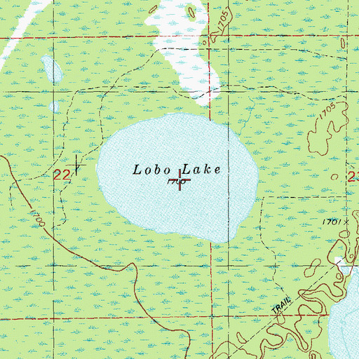 Topographic Map of Lobo Lake, MN