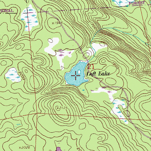 Topographic Map of Loft Lake, MN