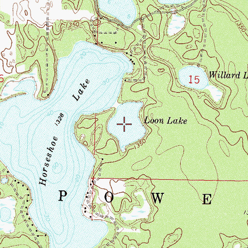 Topographic Map of Loon Lake, MN