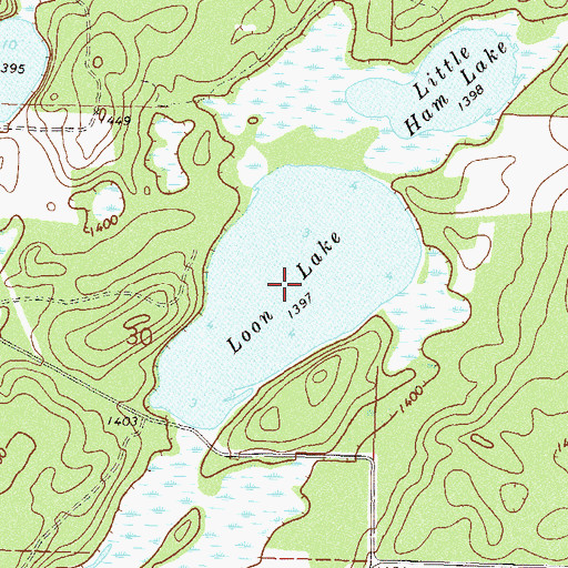 Topographic Map of Loon Lake, MN