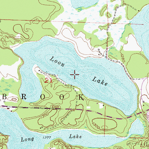 Topographic Map of Loon Lake, MN