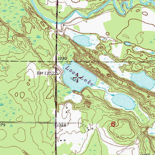 Topographic Map of Loon Lake, MN