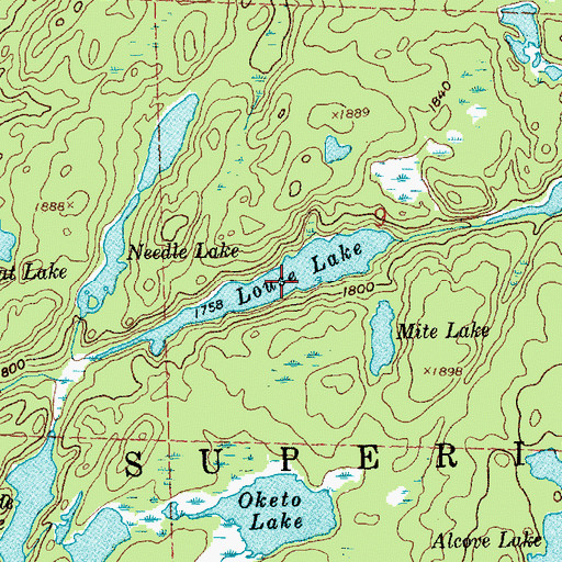 Topographic Map of Louse Lake, MN