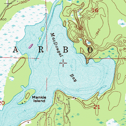 Topographic Map of MacDougal Bay, MN