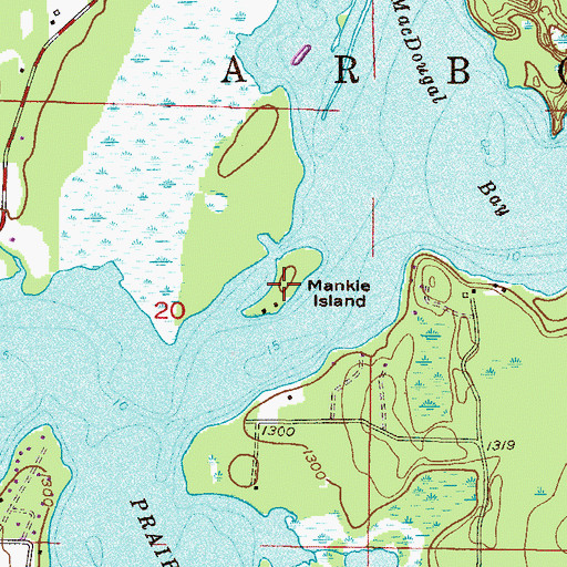 Topographic Map of Mankie Island, MN
