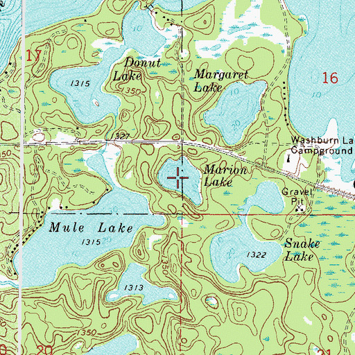 Topographic Map of Marion Lake, MN