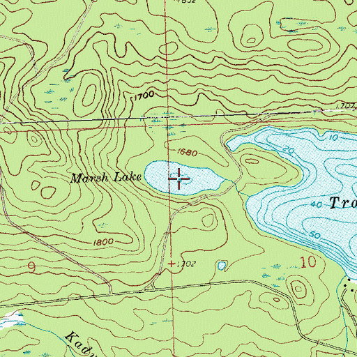 Topographic Map of Marsh Lake, MN