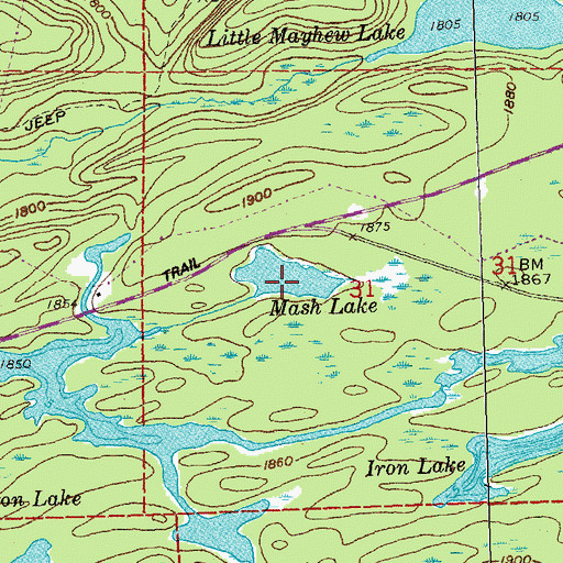 Topographic Map of Mash Lake, MN