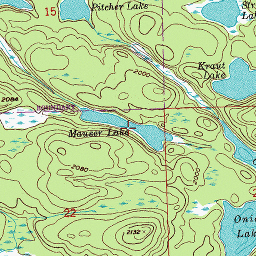 Topographic Map of Mauser Lake, MN