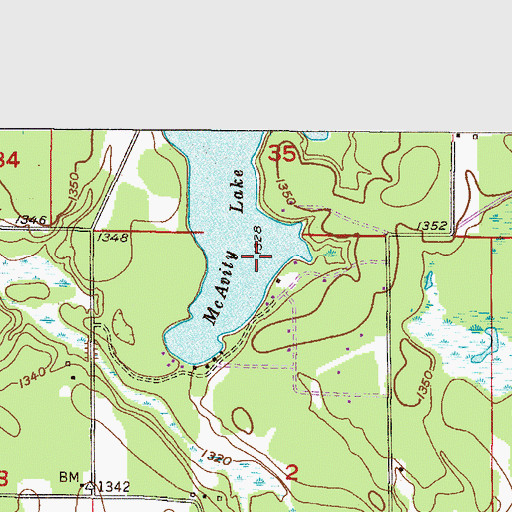 Topographic Map of McAvity Lake, MN