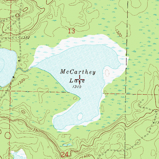 Topographic Map of McCarthey Lake, MN
