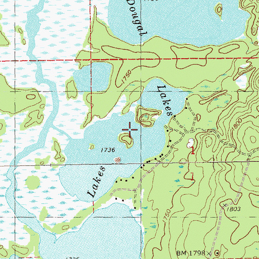Topographic Map of McDougal Lakes, MN