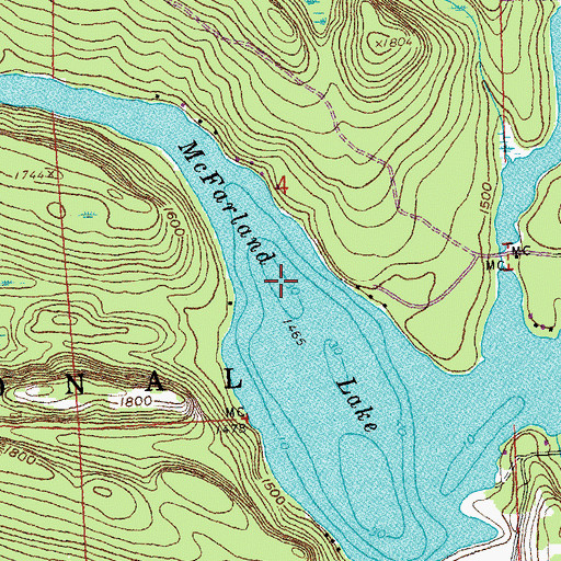 Topographic Map of McFarland Lake, MN