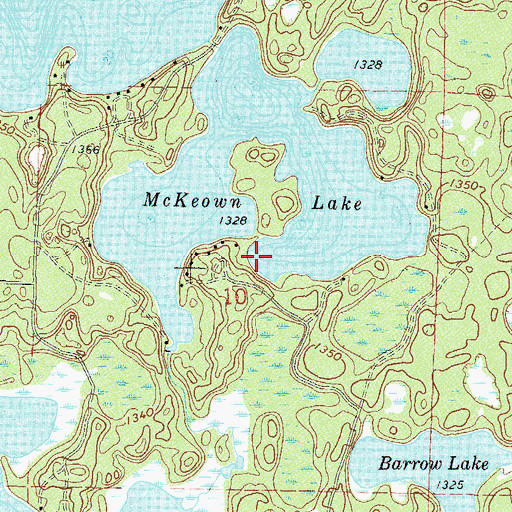 Topographic Map of McKeown Lake, MN