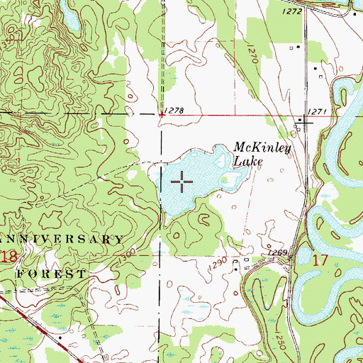 Topographic Map of McKinley Lake, MN