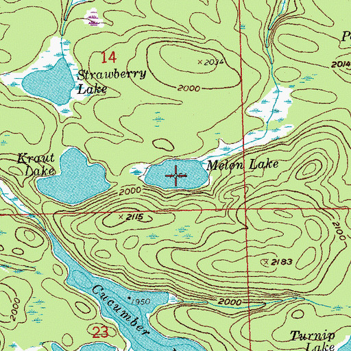 Topographic Map of Melon Lake, MN